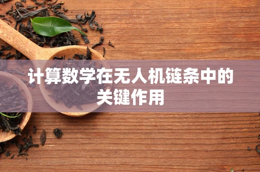 计算数学在无人机链条中的关键作用
