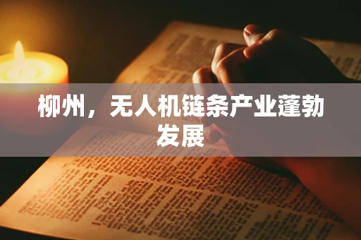 柳州，无人机链条产业蓬勃发展