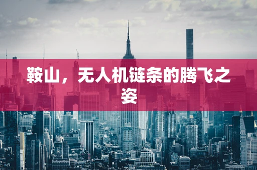 鞍山，无人机链条的腾飞之姿