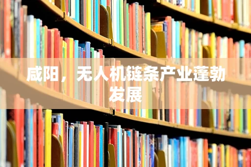 咸阳，无人机链条产业蓬勃发展
