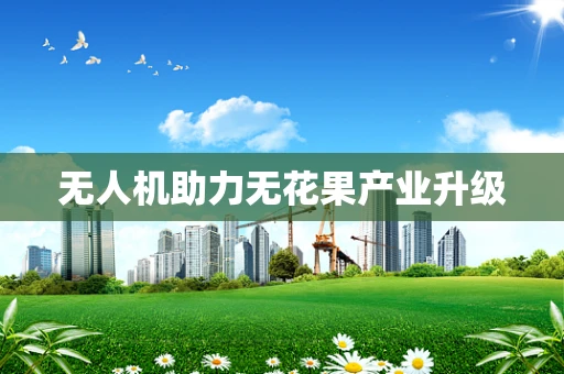 无人机助力无花果产业升级