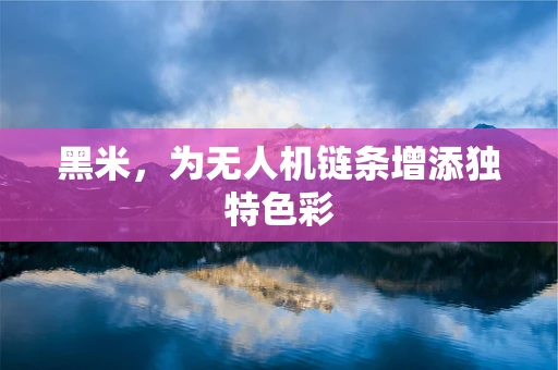 黑米，为无人机链条增添独特色彩