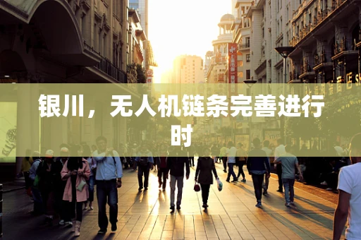 银川，无人机链条完善进行时