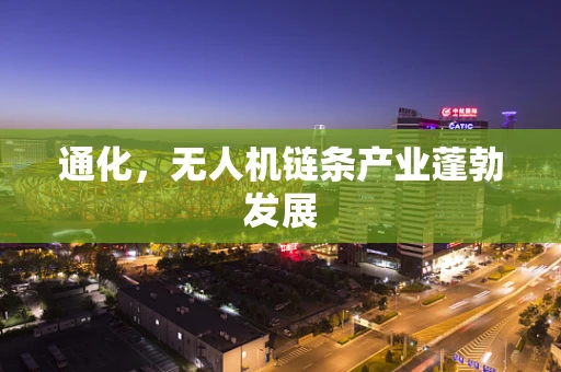 通化，无人机链条产业蓬勃发展