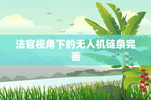 法官视角下的无人机链条完善