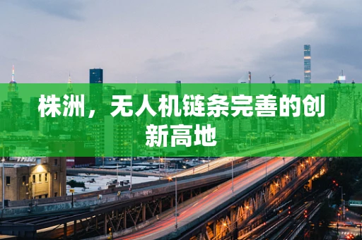 株洲，无人机链条完善的创新高地