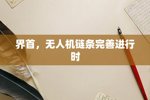 界首，无人机链条完善进行时