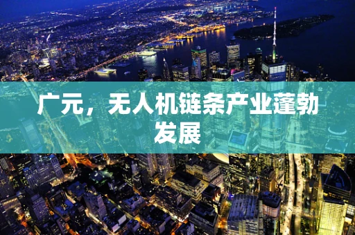 广元，无人机链条产业蓬勃发展