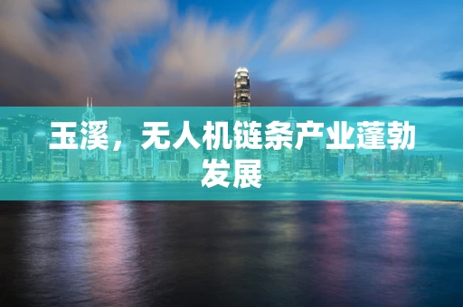 玉溪，无人机链条产业蓬勃发展
