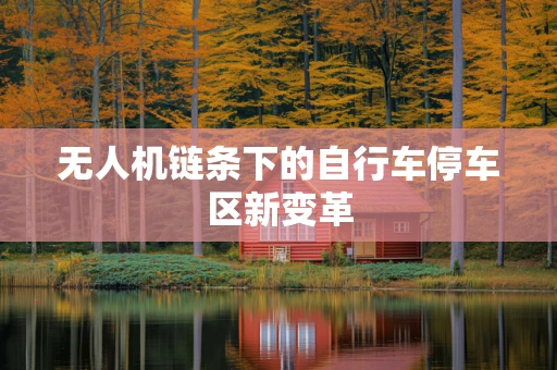 无人机链条下的自行车停车区新变革