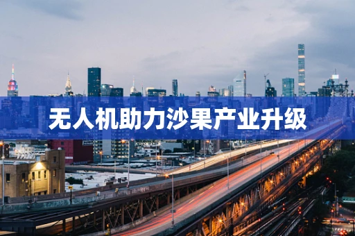 无人机助力沙果产业升级