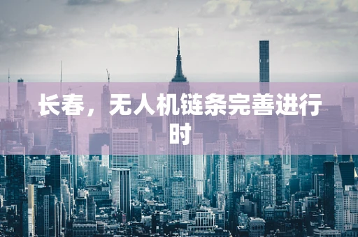 长春，无人机链条完善进行时