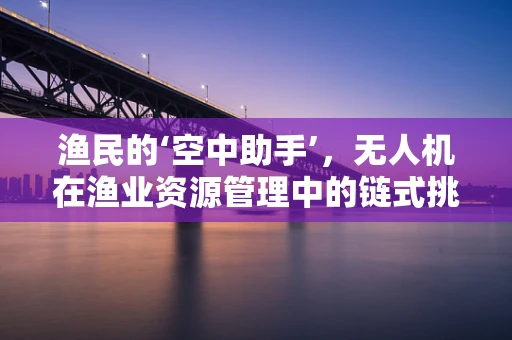 渔民的‘空中助手’，无人机在渔业资源管理中的链式挑战与解决方案