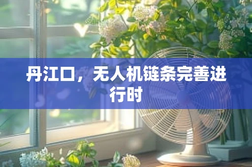 丹江口，无人机链条完善进行时