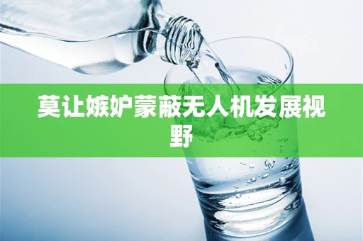 莫让嫉妒蒙蔽无人机发展视野