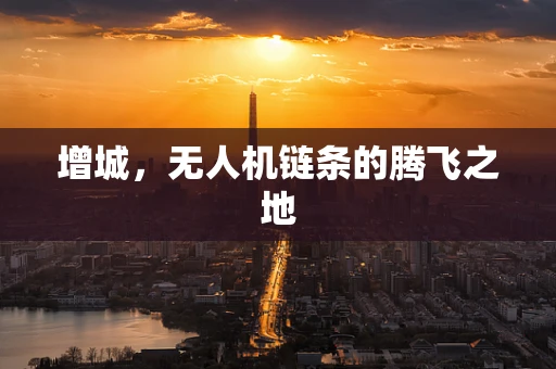 增城，无人机链条的腾飞之地