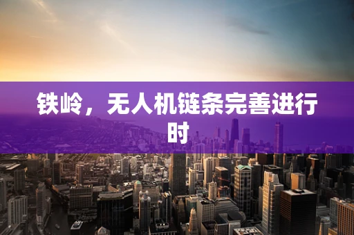 铁岭，无人机链条完善进行时