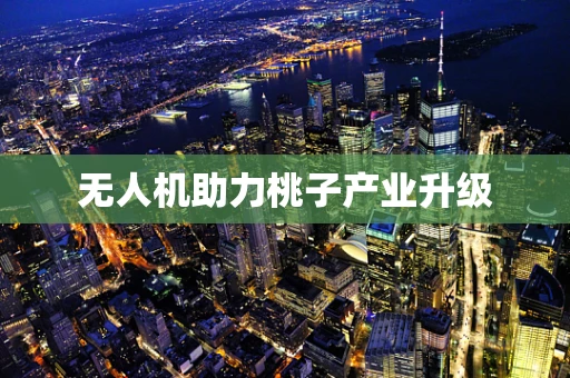 无人机助力桃子产业升级