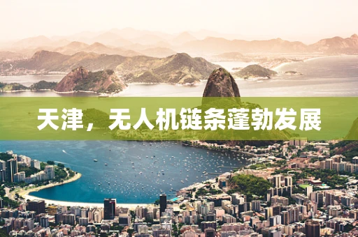 天津，无人机链条蓬勃发展
