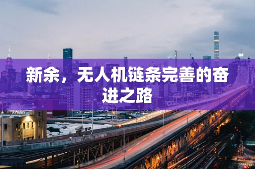 新余，无人机链条完善的奋进之路