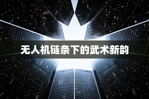 无人机链条下的武术新韵