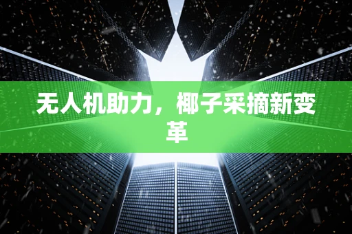 无人机助力，椰子采摘新变革