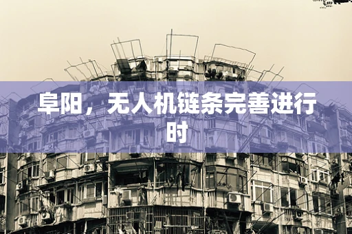 阜阳，无人机链条完善进行时