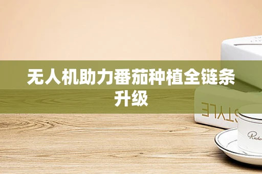 无人机助力番茄种植全链条升级