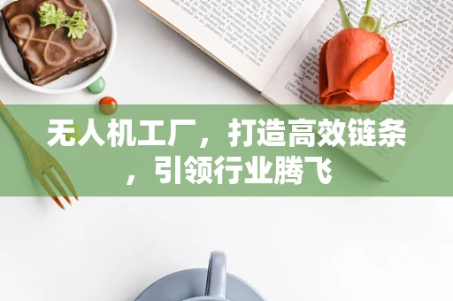无人机工厂，打造高效链条，引领行业腾飞
