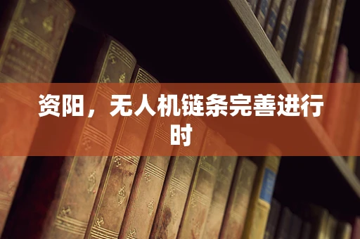 资阳，无人机链条完善进行时