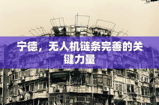 宁德，无人机链条完善的关键力量