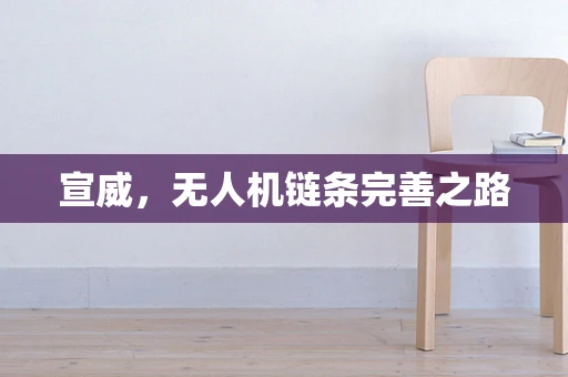 宣威，无人机链条完善之路