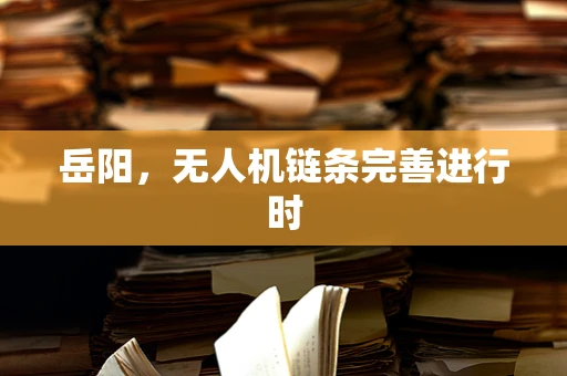 岳阳，无人机链条完善进行时
