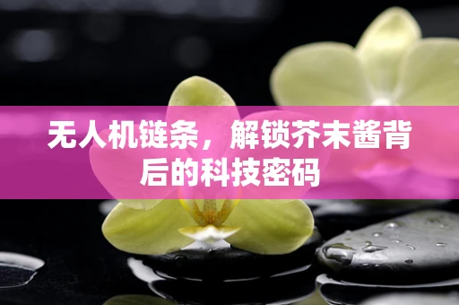无人机链条，解锁芥末酱背后的科技密码