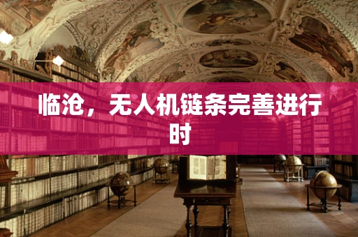 临沧，无人机链条完善进行时