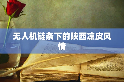 无人机链条下的陕西凉皮风情