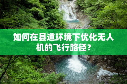 如何在县道环境下优化无人机的飞行路径？