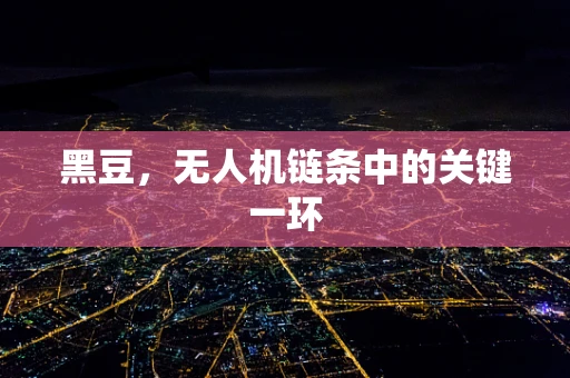 黑豆，无人机链条中的关键一环