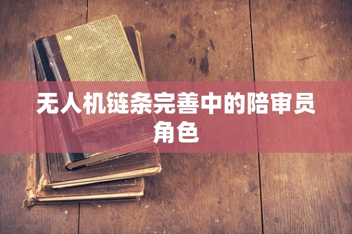 无人机链条完善中的陪审员角色