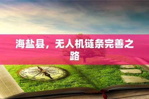 海盐县，无人机链条完善之路