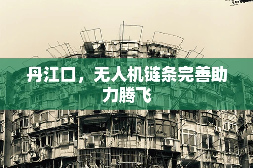 丹江口，无人机链条完善助力腾飞