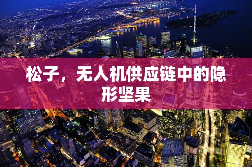 松子，无人机供应链中的隐形坚果