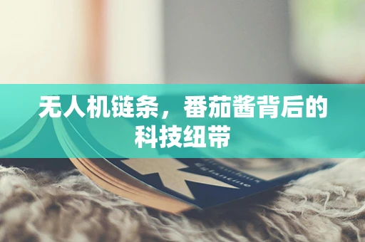 无人机链条，番茄酱背后的科技纽带