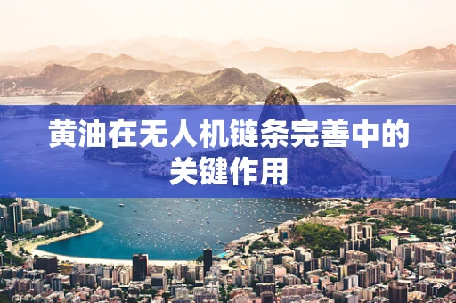 黄油在无人机链条完善中的关键作用