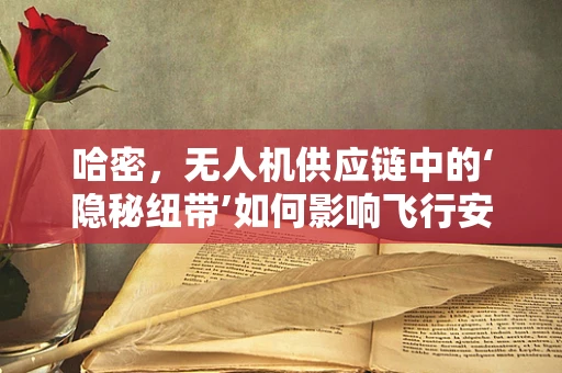 哈密，无人机供应链中的‘隐秘纽带’如何影响飞行安全？