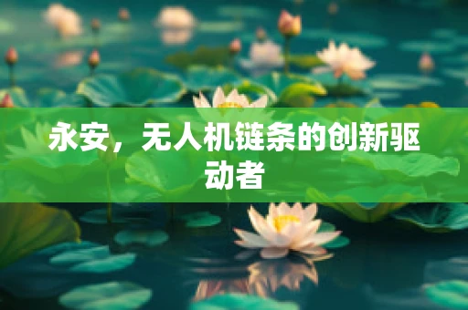 永安，无人机链条的创新驱动者
