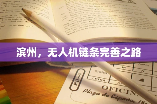 滨州，无人机链条完善之路