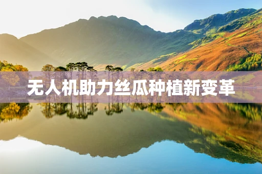 无人机助力丝瓜种植新变革