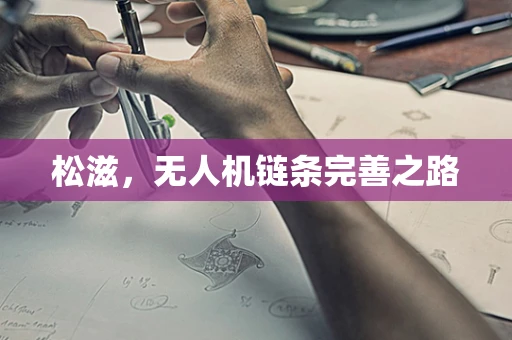松滋，无人机链条完善之路