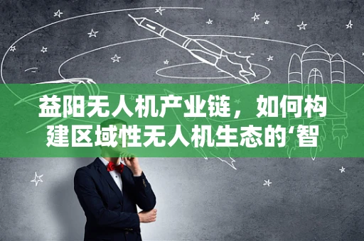益阳无人机产业链，如何构建区域性无人机生态的‘智’与‘联’？